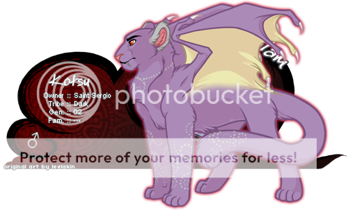 User Image